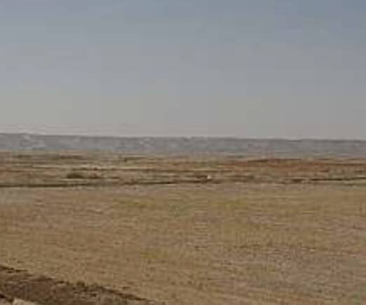 For Sale Empty land in the Shakhbout City area - للبيع أرض خالية في مدينة شخبوط - أبو ظبي